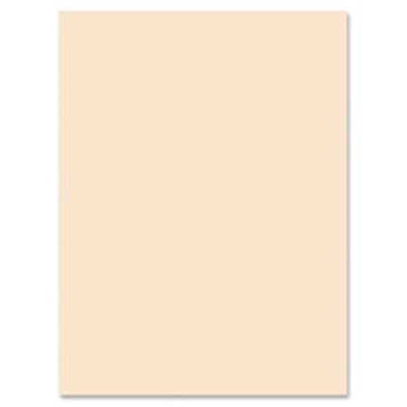 PACON CORPORATION Pacon PAC5181 Tagboard; 9 in. x 12 in.; 100Shts; 12-PK; Manila PAC5181